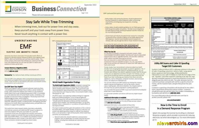USA Southern California EDISON utility bill, 8 pages 7 8